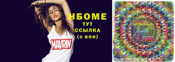 гидра Медвежьегорск