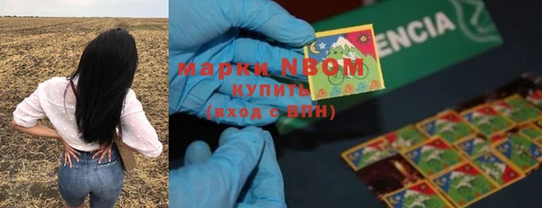 гидра Медвежьегорск