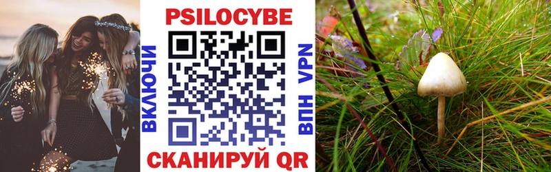 Галлюциногенные грибы Magic Shrooms  где продают   Усть-Катав 